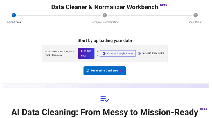 The "Normalizer": Automated Cleaning & Standardization